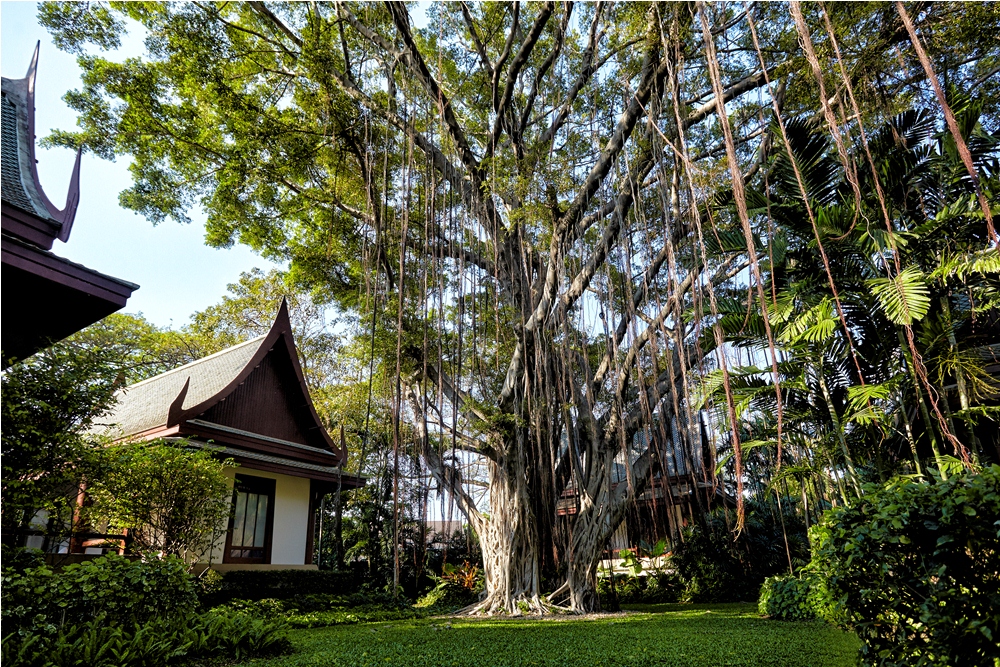 Chiva-Som International Health Resort