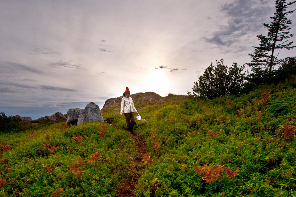 Fogo Island Inn